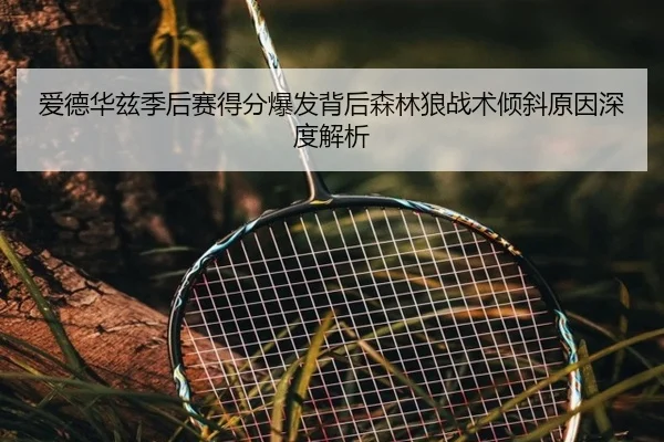爱德华兹季后赛得分爆发背后森林狼战术倾斜原因深度解析